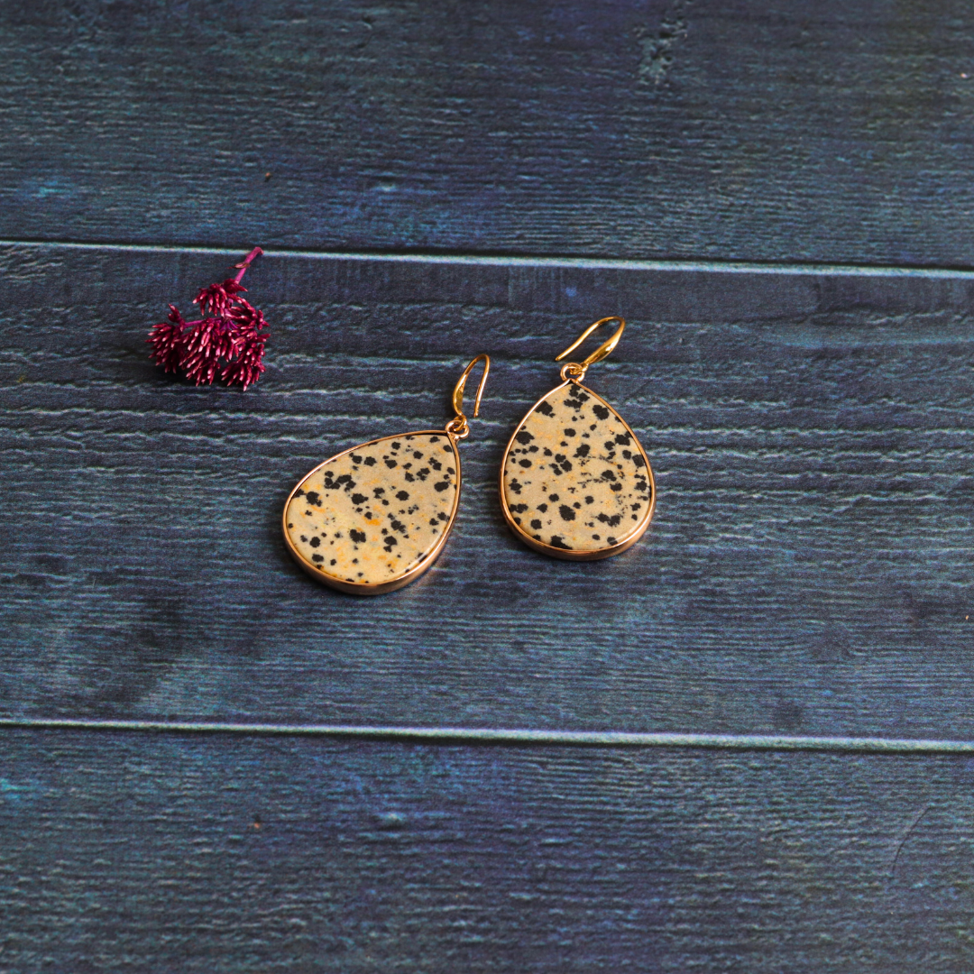 Davina's Dalmatian Jasper