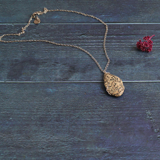 Daria's Dalmatian Jasper