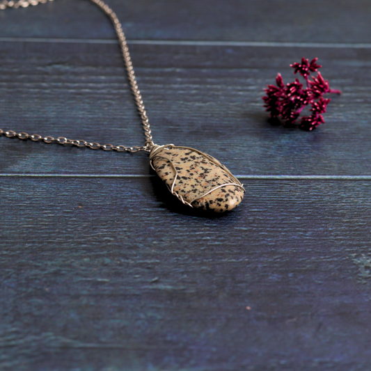 Daria's Dalmatian Jasper