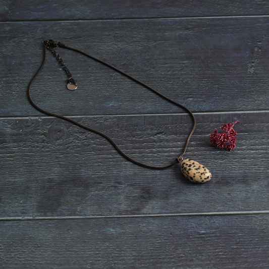 Dakota's Dalmatian Jasper
