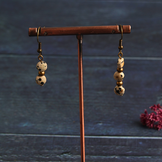 Daphne's Dalmatian Jasper