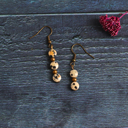 Daphne's Dalmatian Jasper