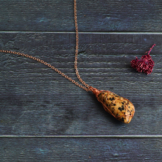 Diana's Dalmatian Jasper