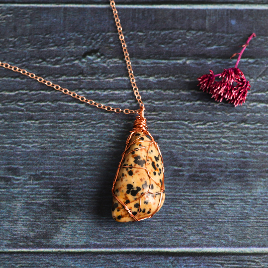 Diana's Dalmatian Jasper