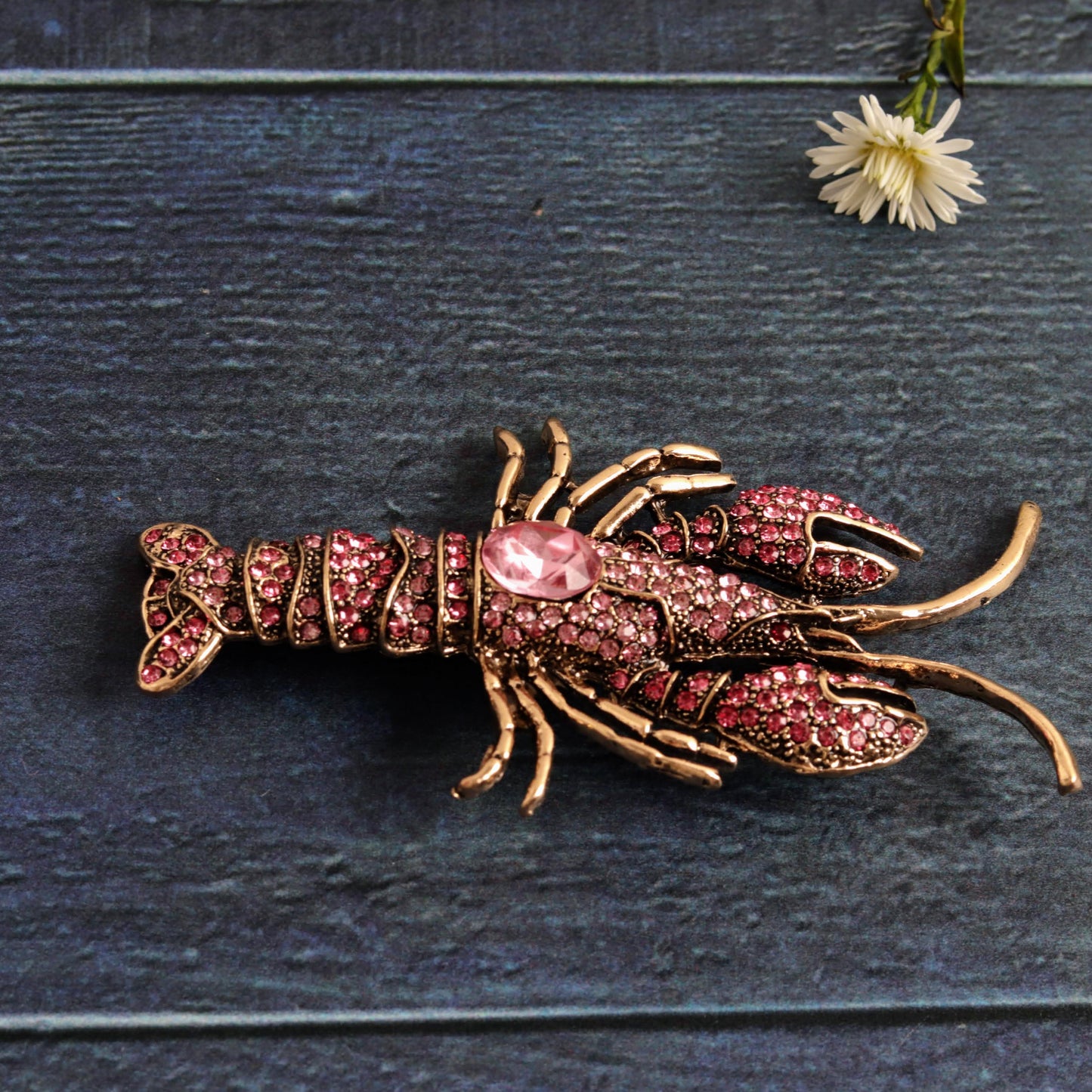 Lobster Rosa