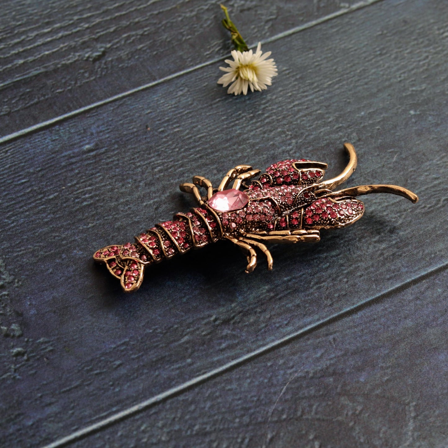 Lobster Rosa