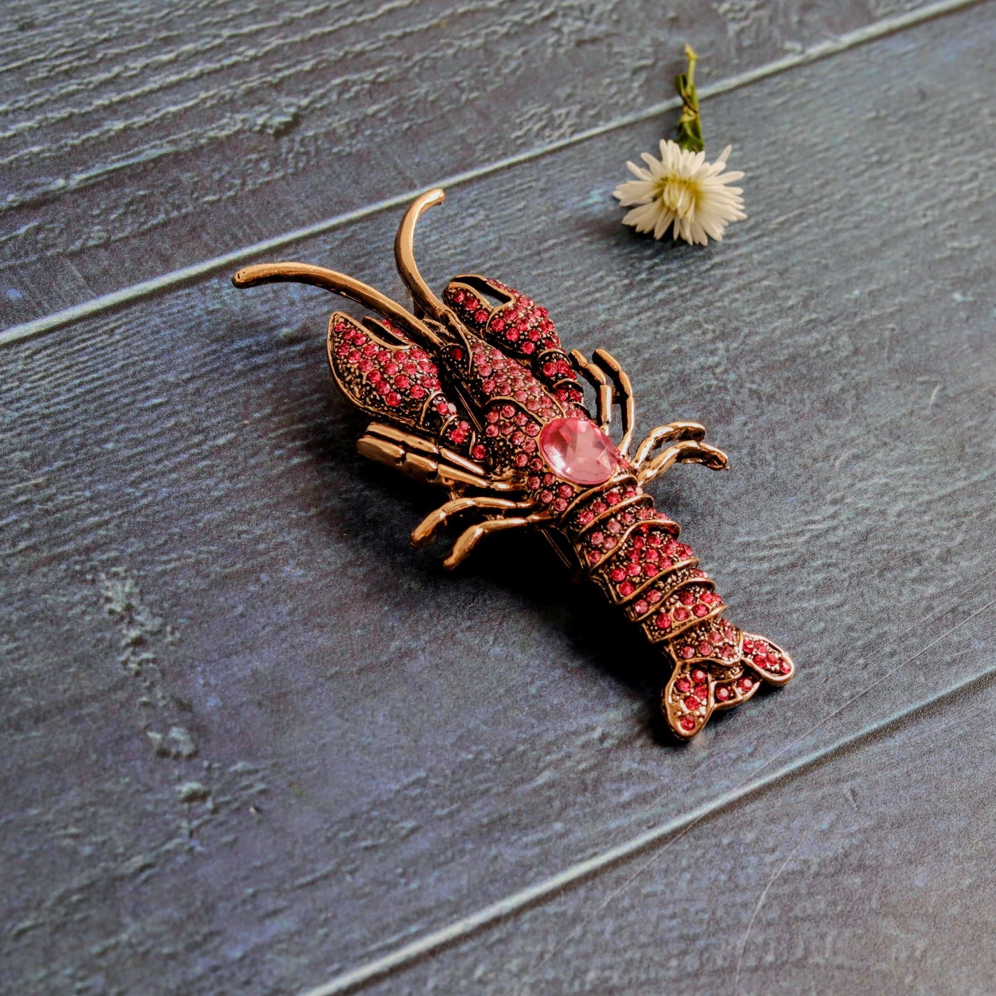 Lobster Rosa