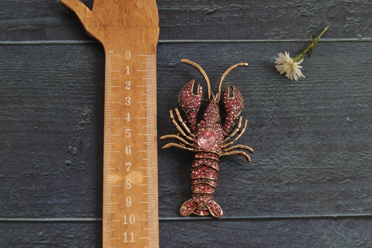 Lobster Rosa