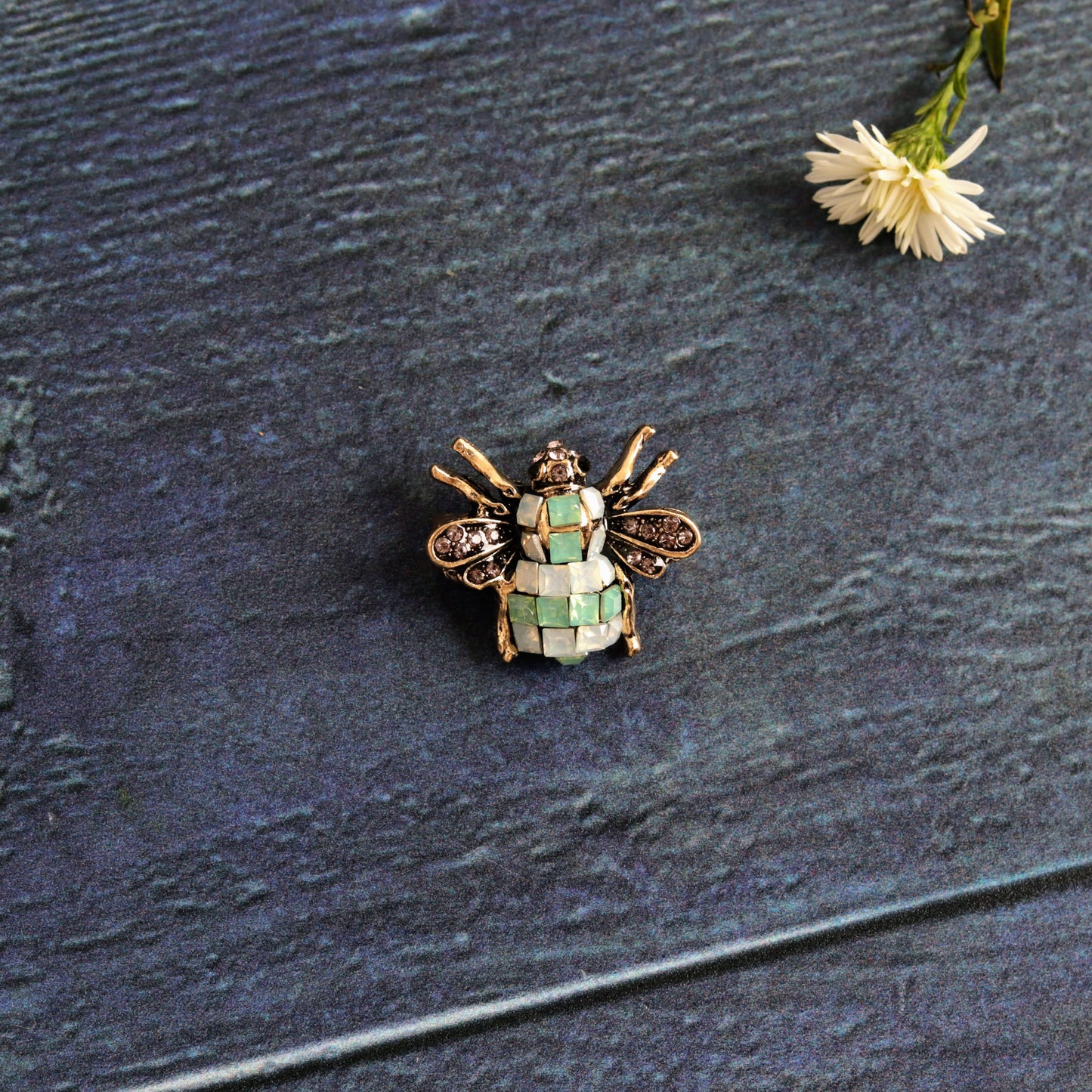 Checkered firefly