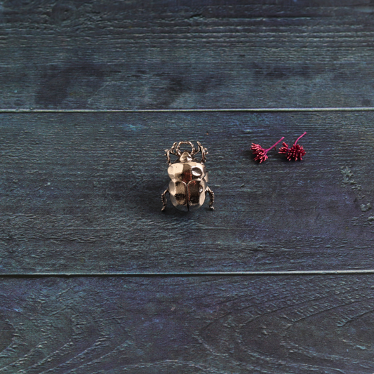 Silver beetle