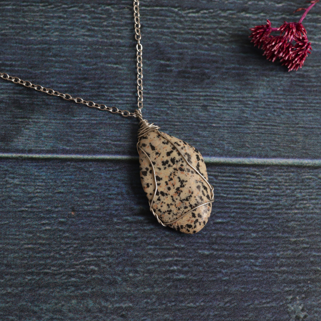 Daria's Dalmatian Jasper