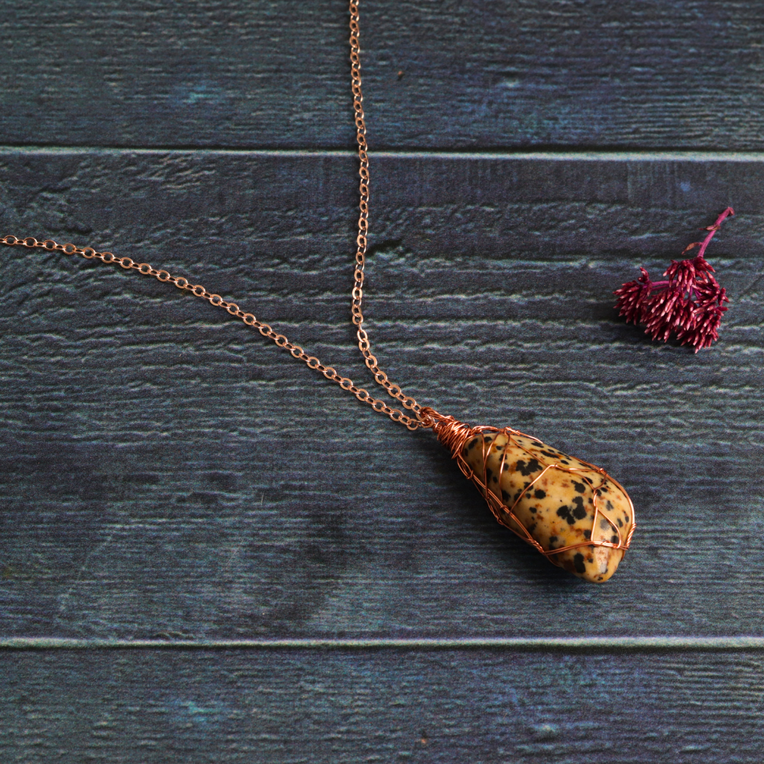 Diana's Dalmatian Jasper