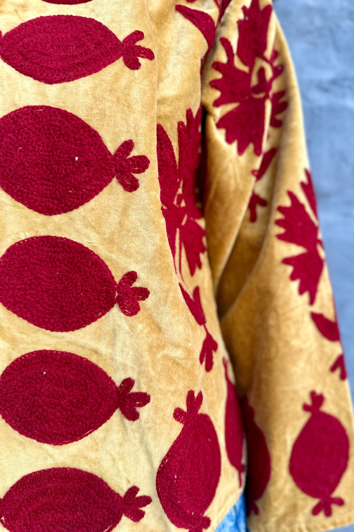 Poppy Velvet Jacket in Golden Ruby