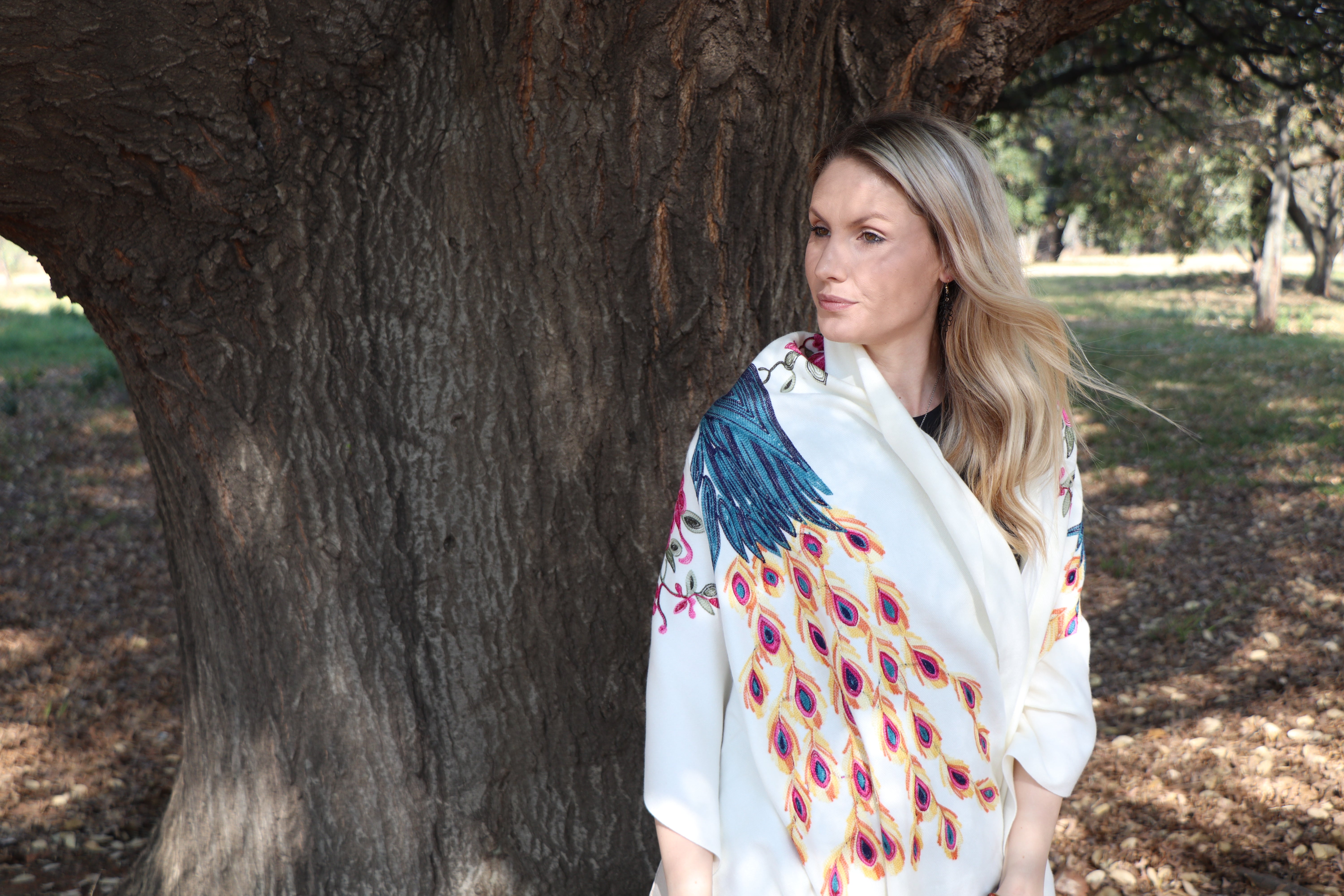 Cashmere Pashmina in Cream Peacock