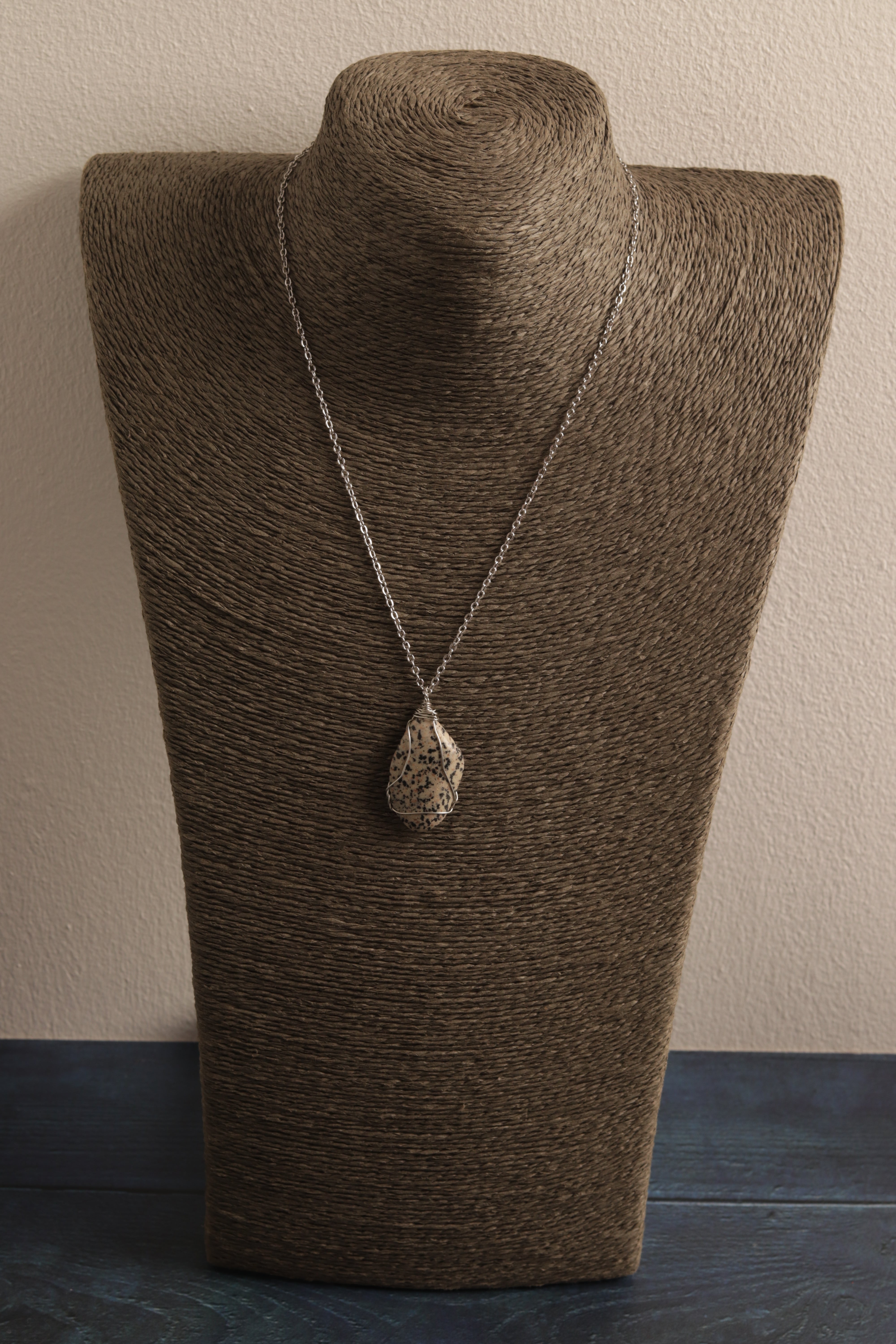 Daria's Dalmatian Jasper
